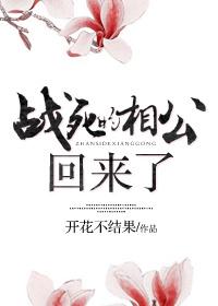 战死的相公回来了宁玉蝉