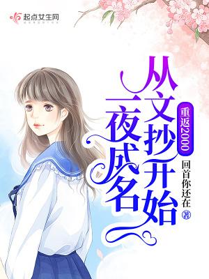 重回2000从芯开始