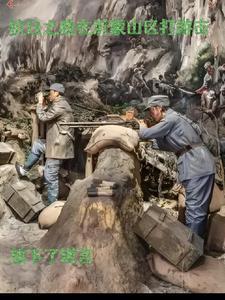 抗日之我在沂蒙山区打游击3Q读书