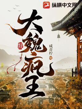 大魏疯王凌宁笔趣阁