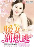 蜜爱暖宠小甜妻全文免费阅读