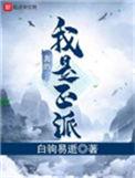 我真的是正派TXT免费