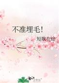 不准埋毛短歌在途TXT下