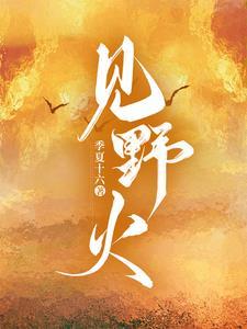 向野火季夏十六