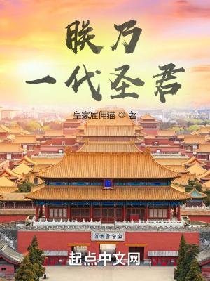 朕乃一代圣君是曹贼