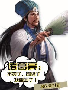 重生之诸葛亮转世