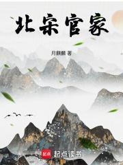北宋官家txt百度资源