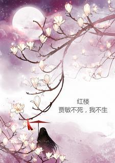 红楼梦之贾敏