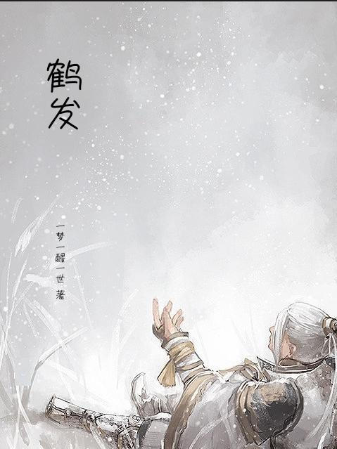 鹤发童颜怎么读