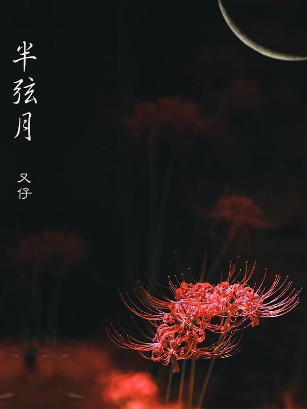 半弦月的枕头怎么样