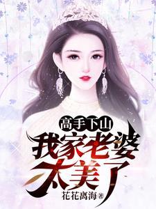 高手下山十八个老婆