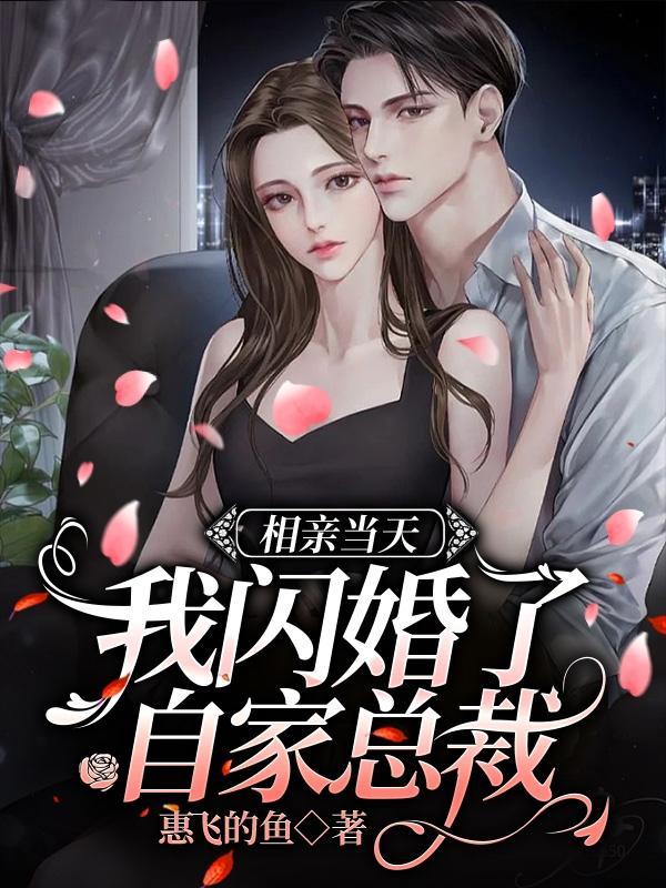 相亲当天我闪婚了自家总裁 惠飞的鱼