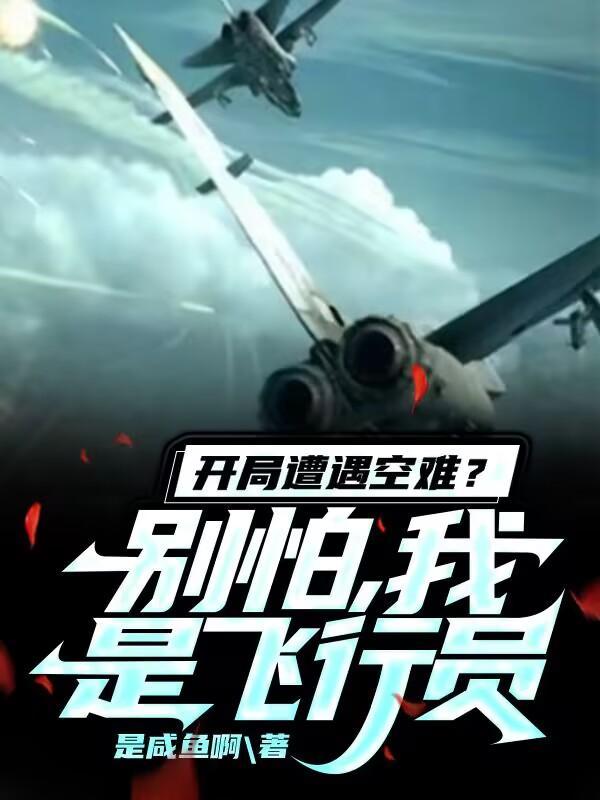 开局空军