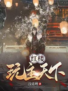 红楼之天下