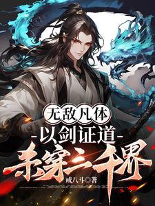 无敌凡体