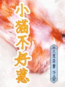 小猫脾气不好