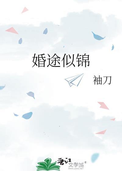 婚途似锦by