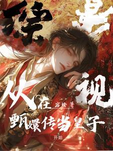 综影视甄嬛传穿雍正