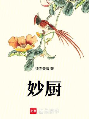 妙厨须弥普普免费阅读