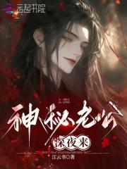 神秘老公深夜来免费版