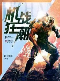 机战狂潮游戏