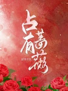 蔷薇推荐
