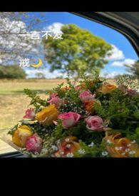 一言不发怎么写