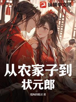 从农家子到状元郎填海的精灵