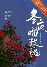 冬夜吻玫瑰姜揽月免费阅读