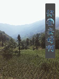 你安好便是