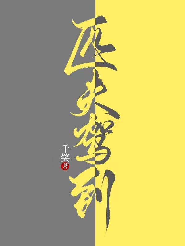 匹夫驾到结局是什么