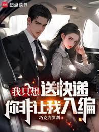 我只想送快递你非让我入编停更