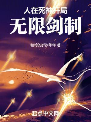 开局无限剑制女主