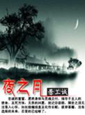 夜之月全集