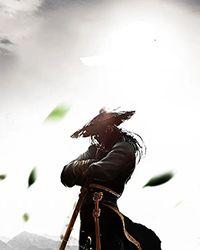 小羽毛睡芒简介