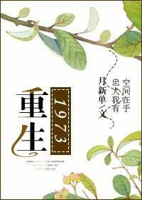 重生1973陈文轩